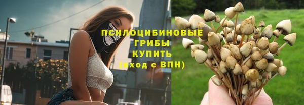 мет Ельня