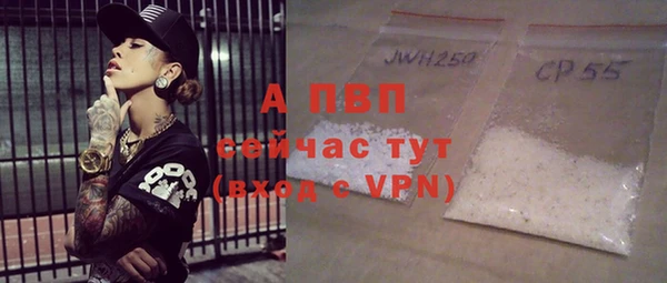 мет Ельня