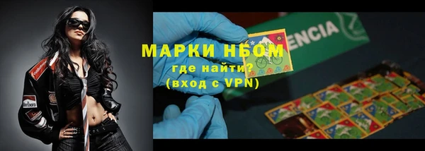 мет Ельня