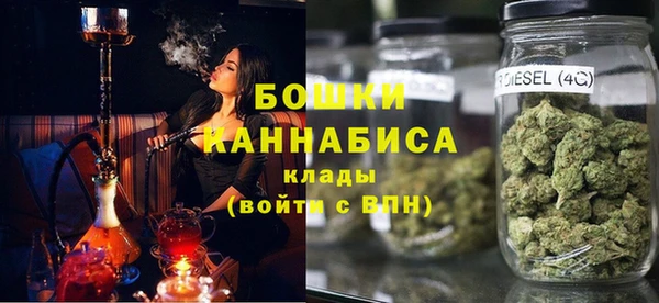 мет Ельня