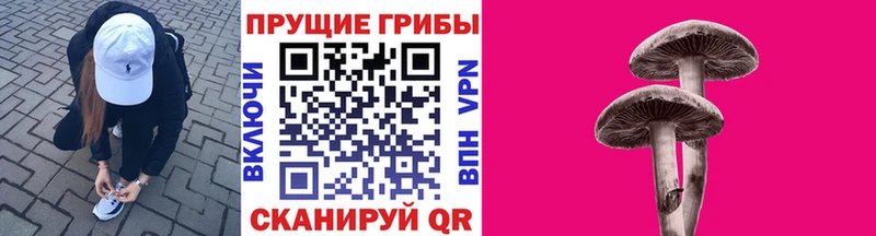 Галлюциногенные грибы MAGIC MUSHROOMS  Сосенский 
